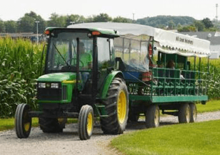 Family enjoying a farm activity