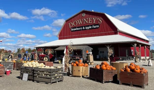 Downey's Strawberry and Apple Farm