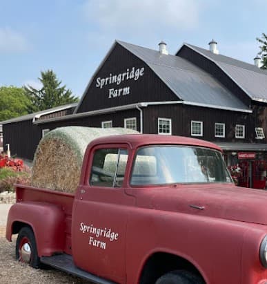 Springridge Farm