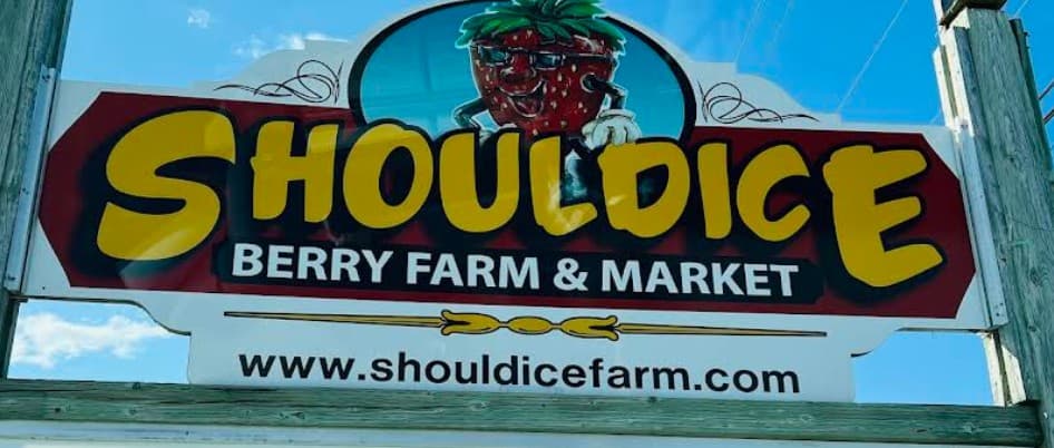 Shouldice Berry Farms & Markets
